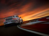 Porsche 911 GT3 (2014)
