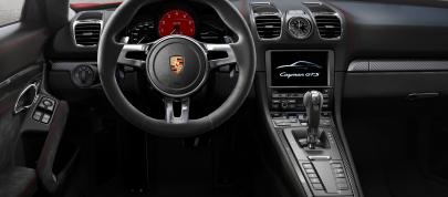 Porsche Cayman GTS (2014) - picture 4 of 4