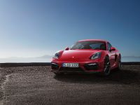 Porsche Cayman GTS (2014) - picture 1 of 4