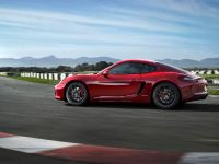 Porsche Cayman GTS (2014) - picture 2 of 4