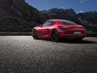 Porsche Cayman GTS (2014) - picture 3 of 4