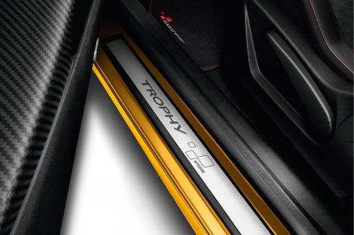 Renault Megane RS 275 Trophy (2014) - picture 8 of 9