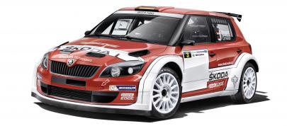 Skoda Fabia Super 2000 (2014) - picture 4 of 6