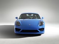StudioTorino Moncenisio Porsche Cayman Concept (2014) - picture 1 of 20