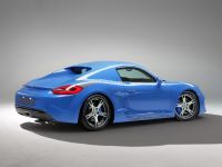 StudioTorino Moncenisio Porsche Cayman Concept (2014) - picture 6 of 20