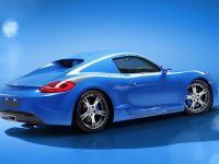 StudioTorino Moncenisio Porsche Cayman Concept (2014) - picture 7 of 20