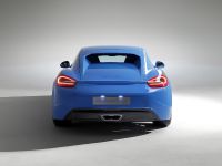 StudioTorino Moncenisio Porsche Cayman Concept (2014) - picture 11 of 20