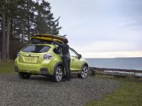 Subaru XV Crosstrek Hybrid (2014) - picture 6 of 12