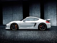 2014 Techart Porsche Cayman