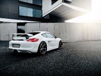 Techart Porsche Cayman (2014) - picture 4 of 6