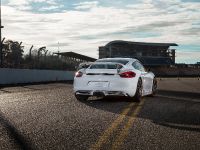 Techart Porsche Cayman (2014) - picture 5 of 6