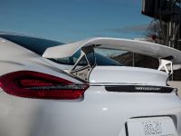 2014 Techart Porsche Cayman