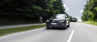 2015 ABT Sportsline Audi SQ5 2015 ABT Sportsline Audi SQ5