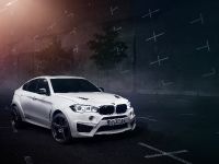 AC Schnitzer BMW X6 M FALCON (2015) - picture 2 of 17