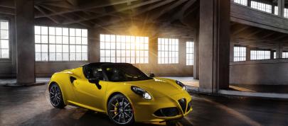 Alfa Romeo 4C Spider (2015) - picture 4 of 12