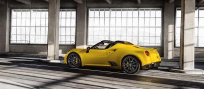Alfa Romeo 4C Spider (2015) - picture 7 of 12