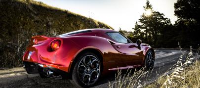 Alfa Romeo 4C US-Spec (2015) - picture 60 of 167