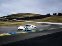 Alfa Romeo 4C US-Spec (2015) - picture 123 of 167