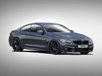 Alpha-N Performance BMW 4-Series (2015) - picture 1 of 2