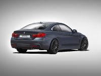 Alpha-N Performance BMW 4-Series (2015) - picture 2 of 2