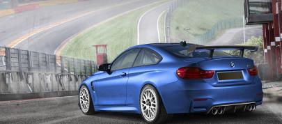 Alpha-N Performance BMW M4 (2015) - picture 4 of 8
