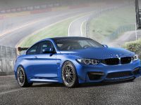 Alpha-N Performance BMW M4 (2015) - picture 2 of 8