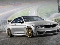 Alpha-N Performance BMW M4 (2015) - picture 3 of 8