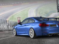 Alpha-N Performance BMW M4 (2015) - picture 4 of 8
