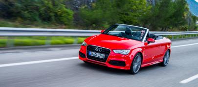 Audi A3 Sedan and Cabriolet (2015) - picture 15 of 16