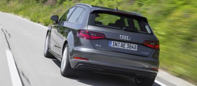 Audi A3 Sportback e-tron (2015) - picture 4 of 5