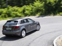 Audi A3 Sportback e-tron (2015) - picture 3 of 5