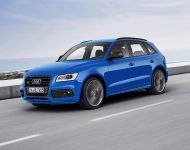 Audi SQ5 TDI Plus (2015) - picture 1 of 11