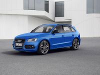 Audi SQ5 TDI Plus (2015) - picture 2 of 11