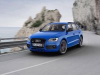 Audi SQ5 TDI Plus (2015) - picture 3 of 11