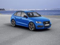 Audi SQ5 TDI Plus (2015) - picture 4 of 11