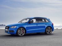 2015 Audi SQ5 TDI Plus