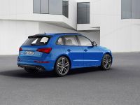 Audi SQ5 TDI Plus (2015) - picture 7 of 11