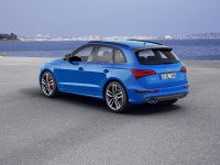 Audi SQ5 TDI Plus (2015) - picture 8 of 11