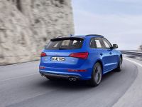 Audi SQ5 TDI Plus (2015)