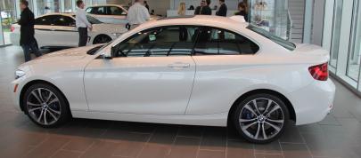 BMW 2-Series 228i Coupe Track Handling Package (2015) - picture 4 of 12