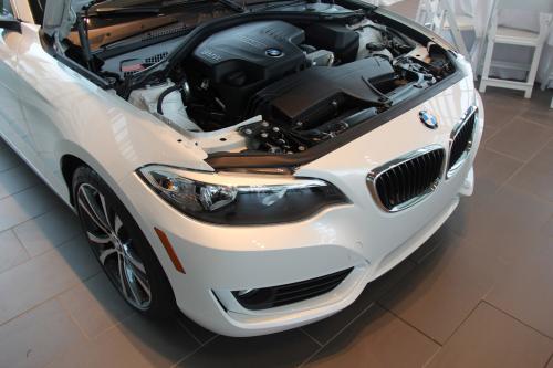 BMW 2-Series 228i Coupe Track Handling Package (2015) - picture 9 of 12