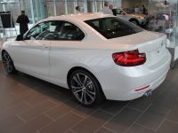 BMW 2-Series 228i Coupe Track Handling Package (2015) - picture 5 of 12