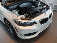 BMW 2-Series 228i Coupe Track Handling Package (2015)