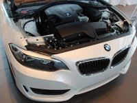 BMW 2-Series 228i Coupe Track Handling Package (2015) - picture 10 of 12