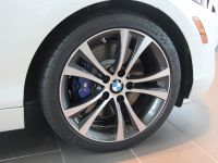 BMW 2-Series 228i Coupe Track Handling Package (2015)