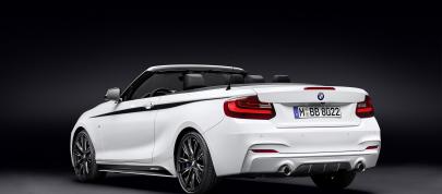 BMW 2 Series Convertible with M Performance Parts (2015) - picture 4 of 10
