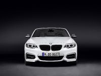 BMW 2 Series Convertible with M Performance Parts (2015) - picture 1 of 10