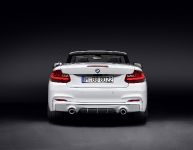 BMW 2 Series Convertible with M Performance Parts (2015) - picture 5 of 10
