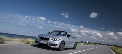 BMW 2 Series Convertible (2015) - picture 4 of 71