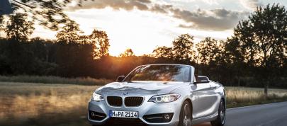 BMW 2 Series Convertible (2015) - picture 7 of 71
